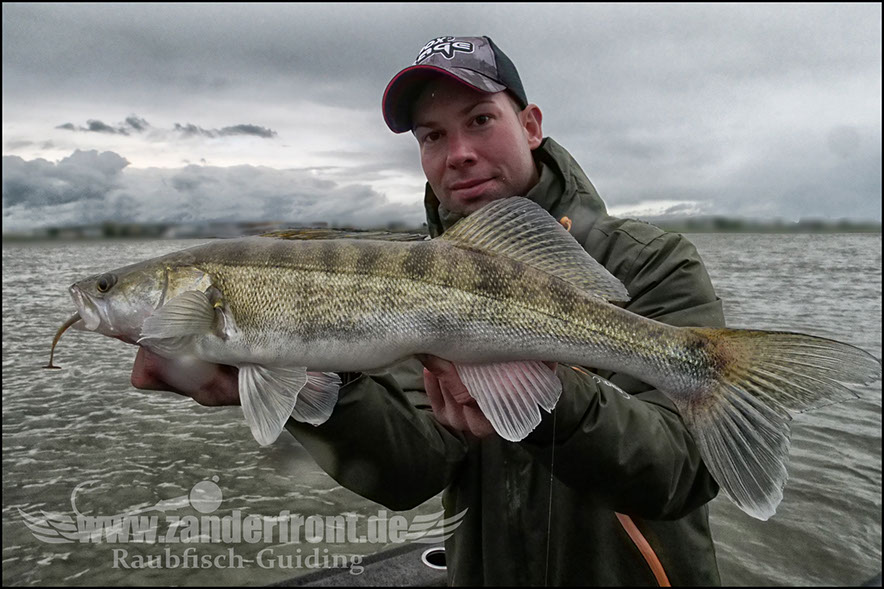 Daiwa tournament 8 braid evo