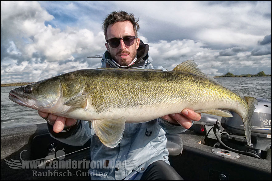 Daiwa tournament 8 braid evo