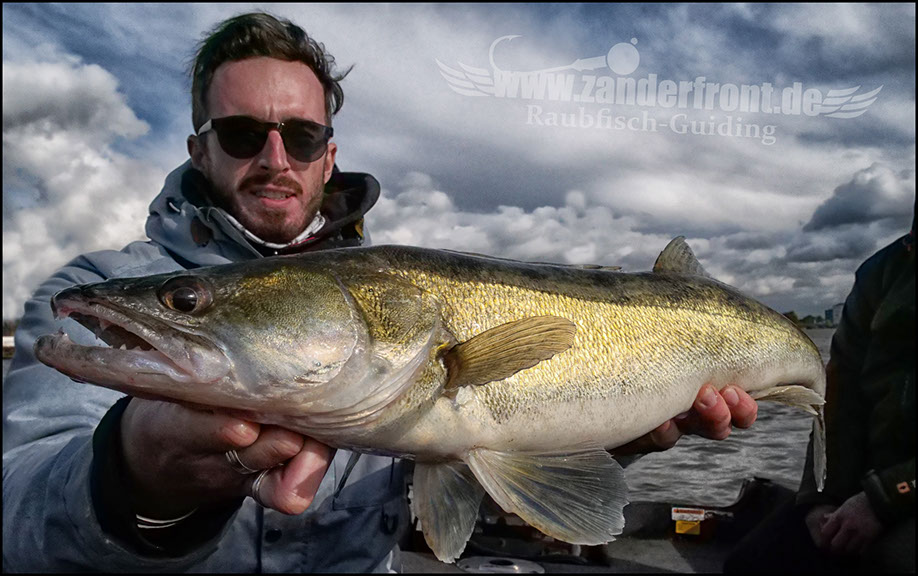 Daiwa tournament 8 braid evo