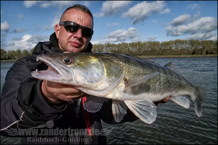 Daiwa tournament 8 braid evo