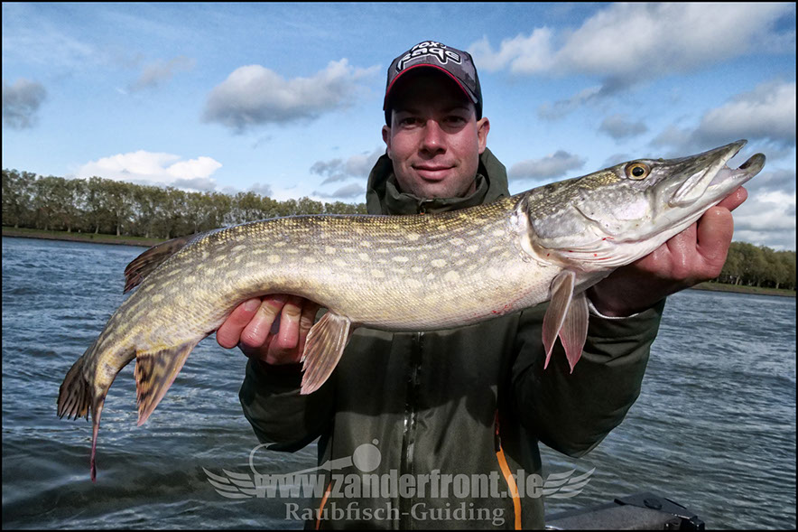 Daiwa tournament 8 braid evo