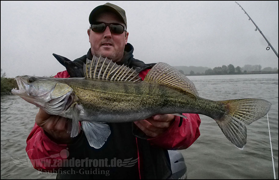 Daiwa tournament 8 braid evo