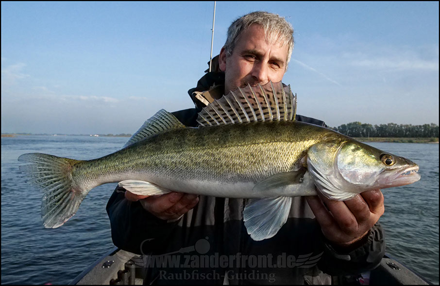 Daiwa tournament 8 braid evo