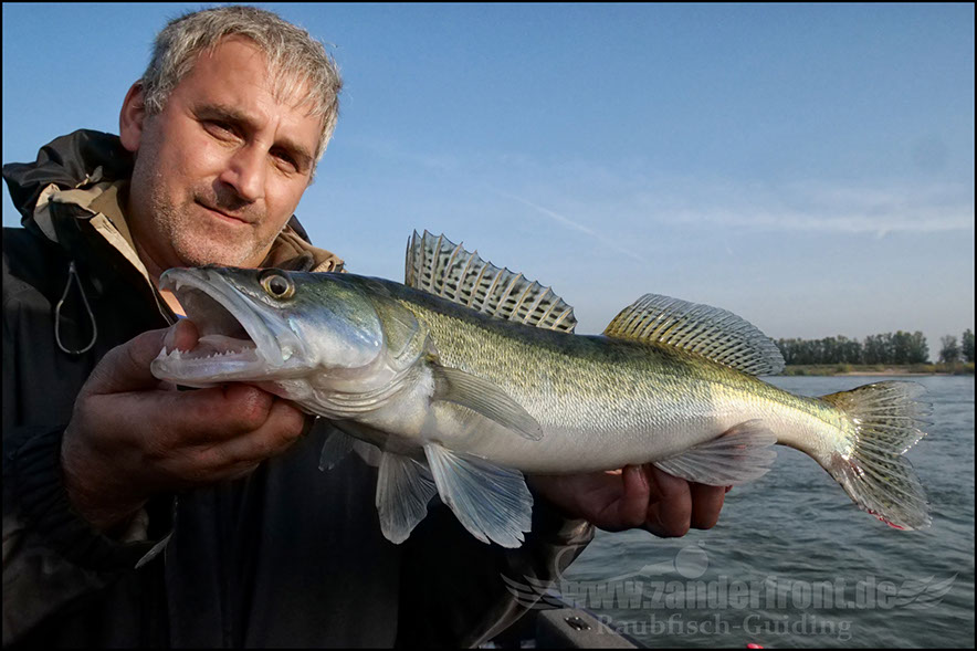 Daiwa tournament 8 braid evo