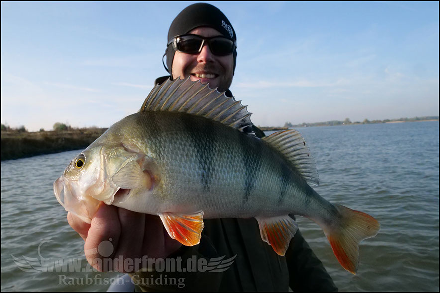 Daiwa tournament 8 braid evo