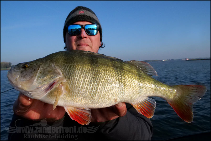 Daiwa tournament 8 braid evo