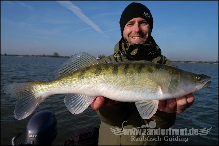 Daiwa tournament 8 braid evo