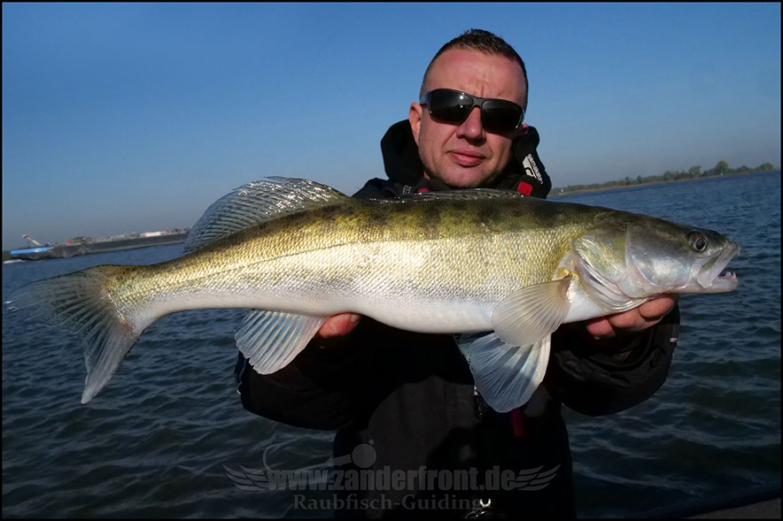 Daiwa tournament 8 braid evo