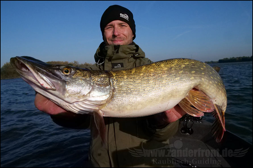 Daiwa tournament 8 braid evo