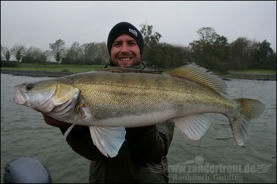 Raubfisch guiding Holland