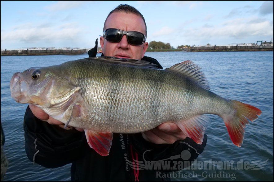 Daiwa tournament 8 braid evo