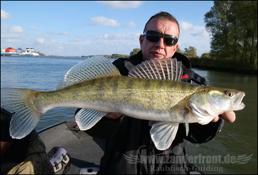 Daiwa tournament 8 braid evo