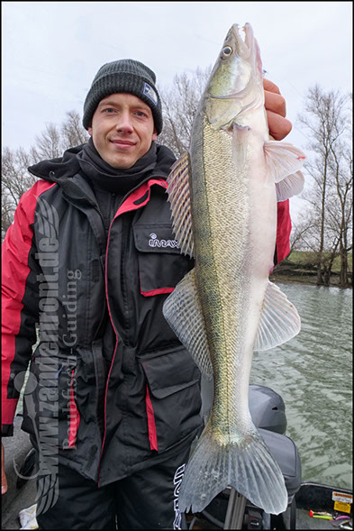 Seika Pro speed shad