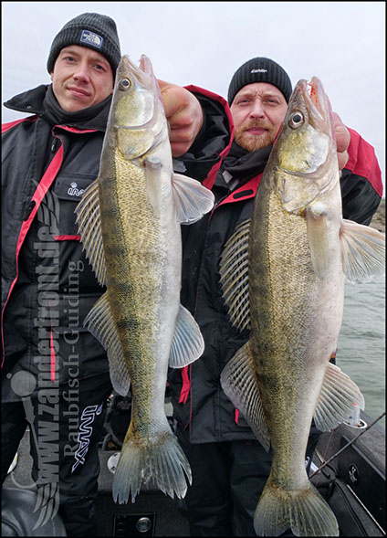 raubfischguiding holland
