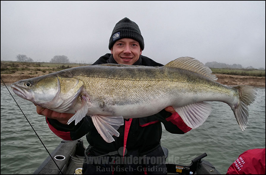 jiggen auf zander