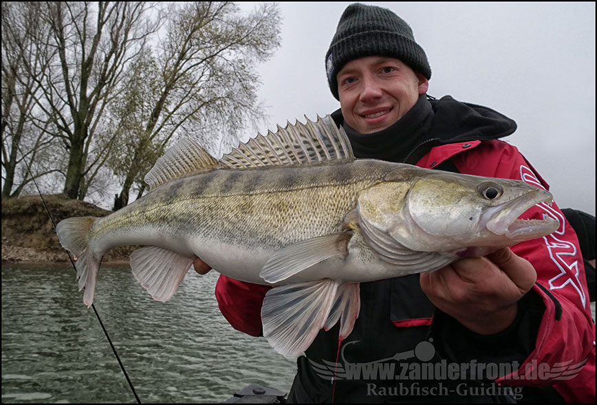 vertikal angeln auf zander
