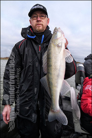 vertikal angeln auf zander