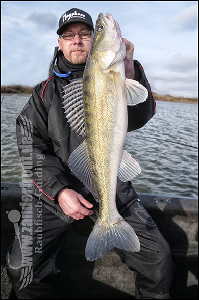 vertikal angeln auf zander