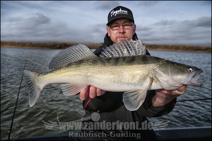 vertikal angeln auf zander