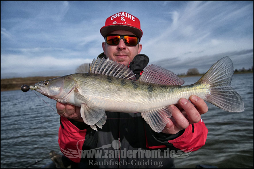 vertikal angeln auf zander