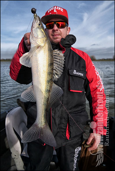 vertikal angeln auf zander