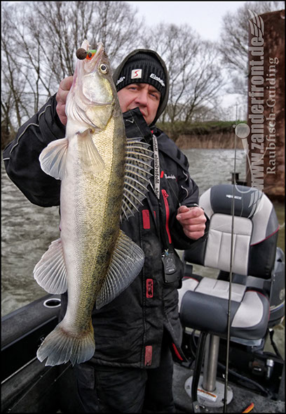 vertikal angeln auf zander