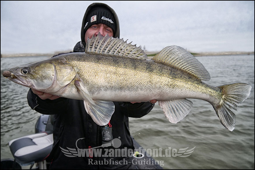 vertikal angeln auf zander