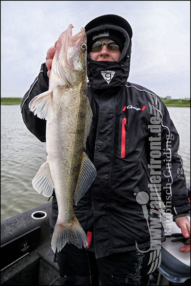 vertikal angeln auf zander