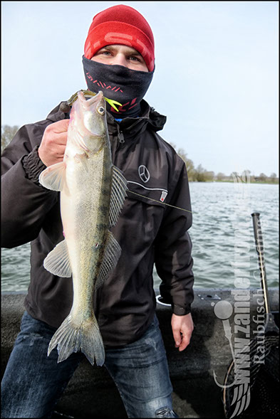 vertikal angeln auf zander