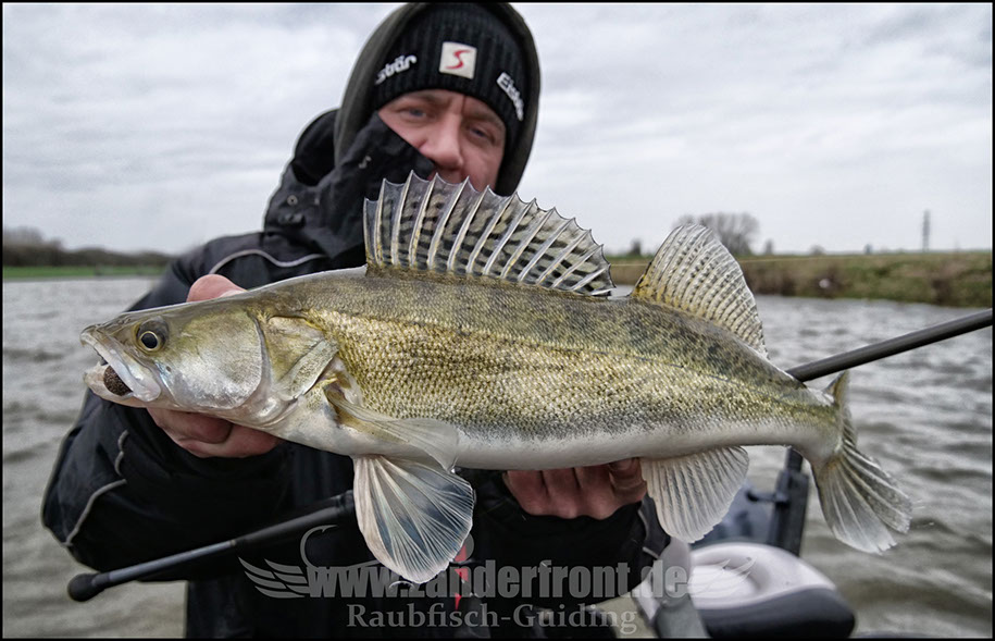 vertikal angeln auf zander