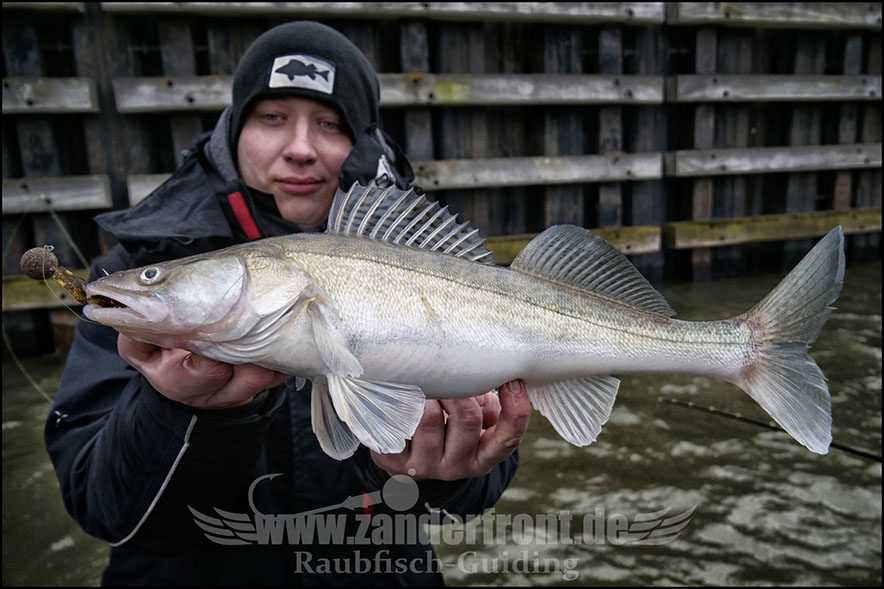 vertikal angeln auf zander
