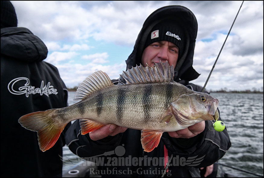 vertikal angeln auf zander