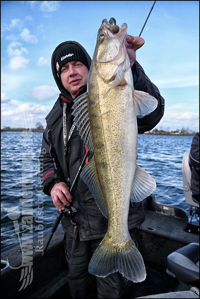 vertikal angeln auf zander