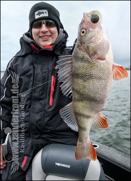 vertikal angeln auf zander