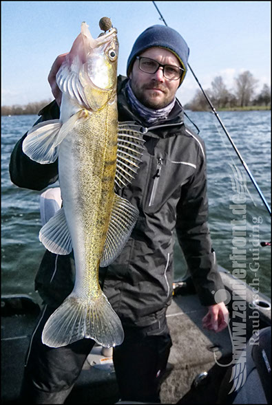 vertikal angeln auf zander