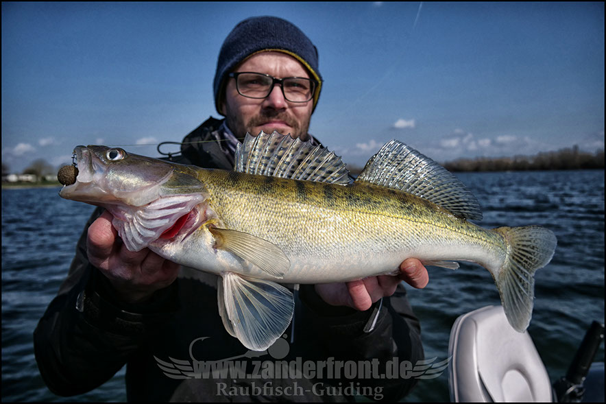 vertikal angeln auf zander