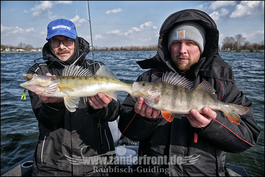 vertikal angeln auf zander