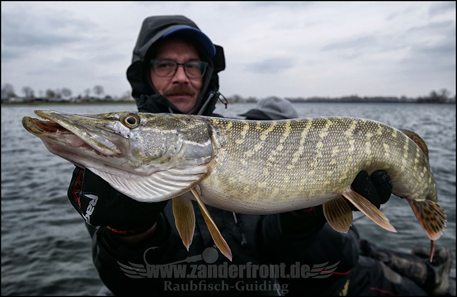 vertikal angeln auf zander