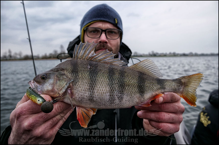 vertikal angeln auf zander