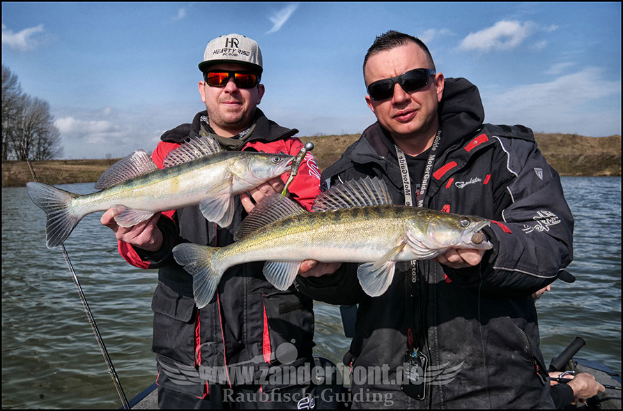 vertikal angeln auf zander