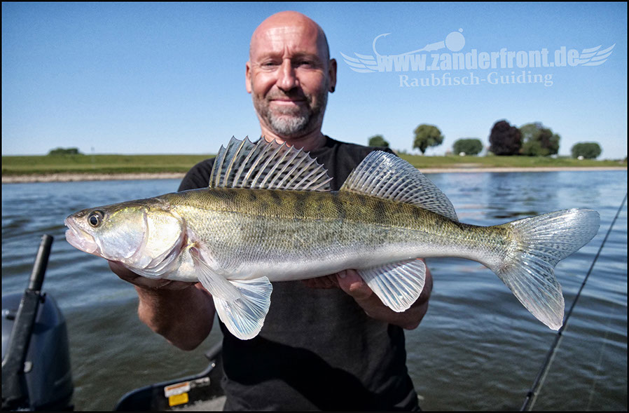 Natural Jigs
