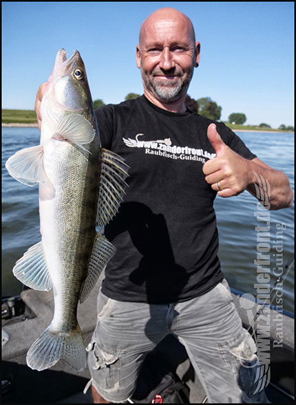 Natural Jigs