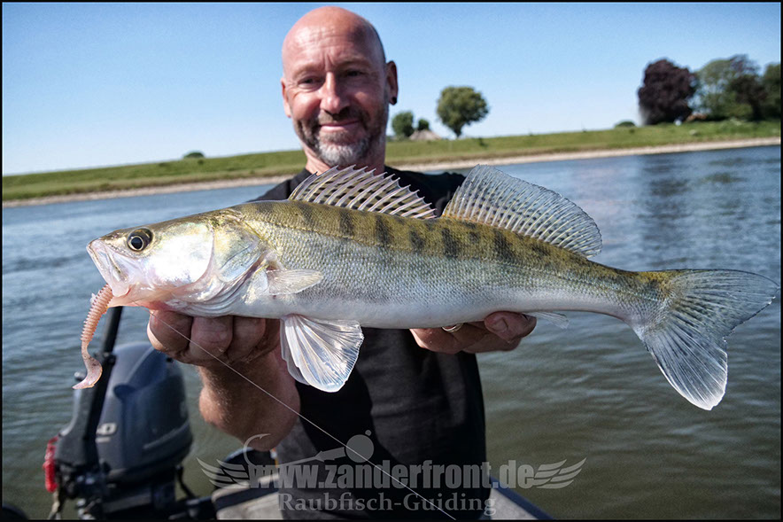 Natural Jigs