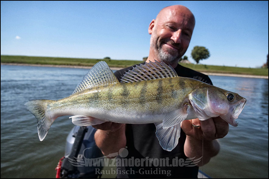 Natural Jigs