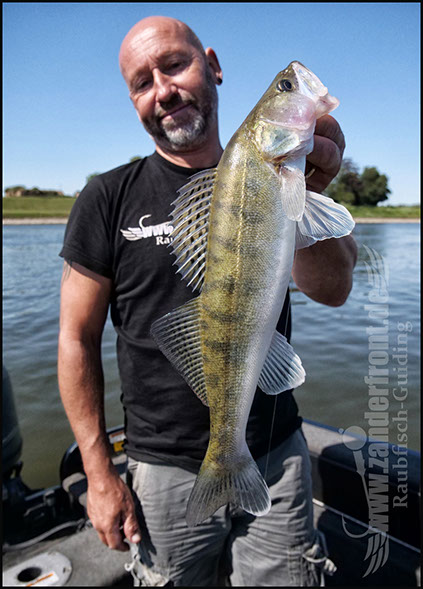 Natural Jigs