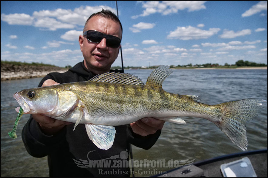 Natural Jigs