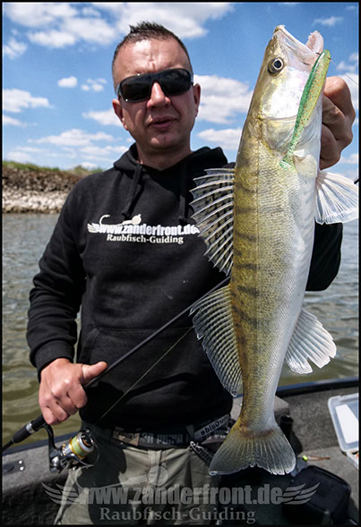 Natural Jigs
