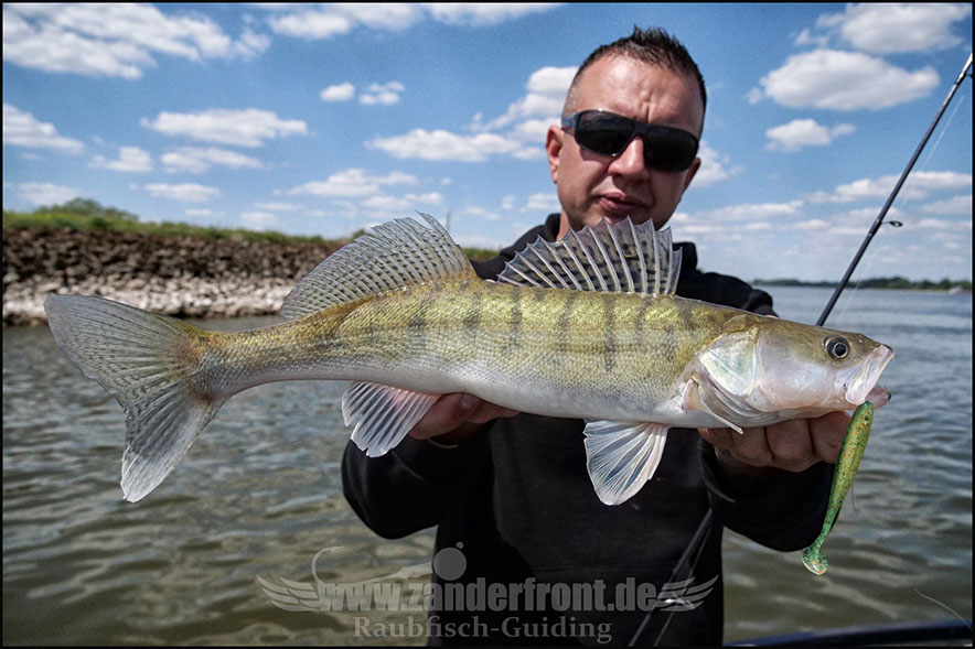 Natural Jigs