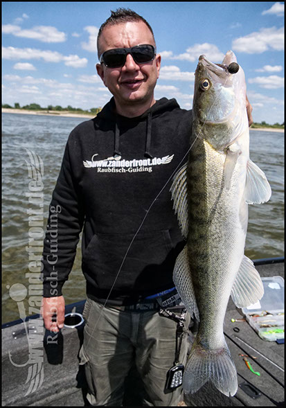 Natural Jigs