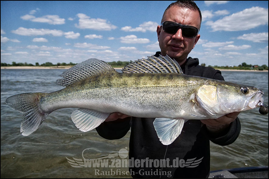 Natural Jigs